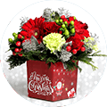 Christmas Flowers