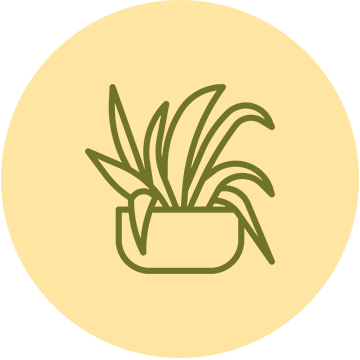Father's day plants