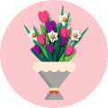 Order Tulip Online