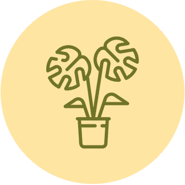 Plants Online