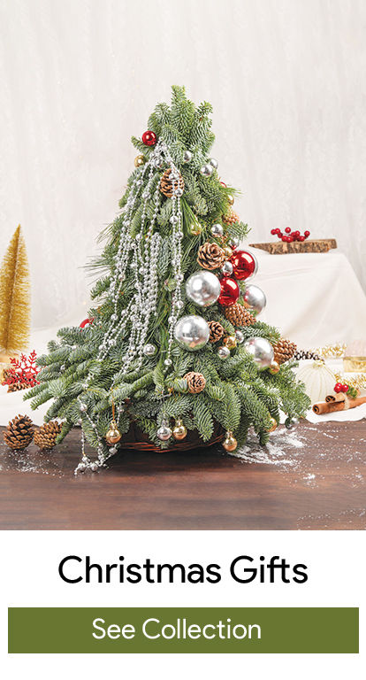 christmas Gifts