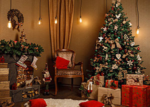 Home Decor Ideas for Christmas
