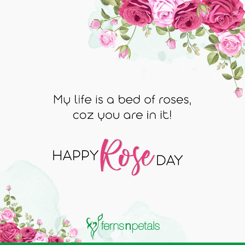 happy rose day my love