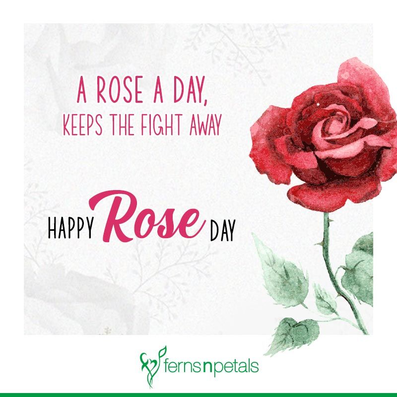rose day messages