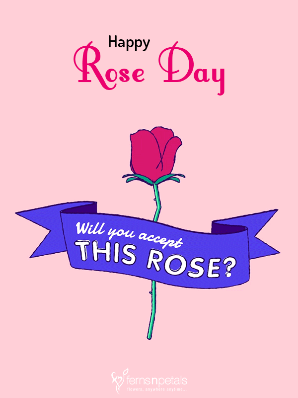 rose day gif