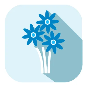 Flower Delivery