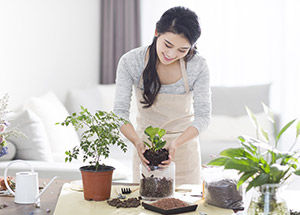 How to take care of Plants?