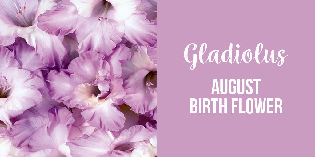 Gladious August