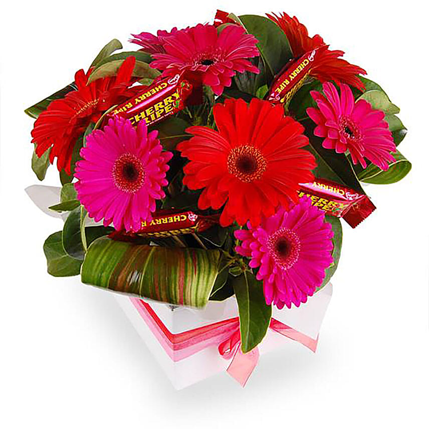 Box Arrangement of Gerberas & Choco Bars Combo