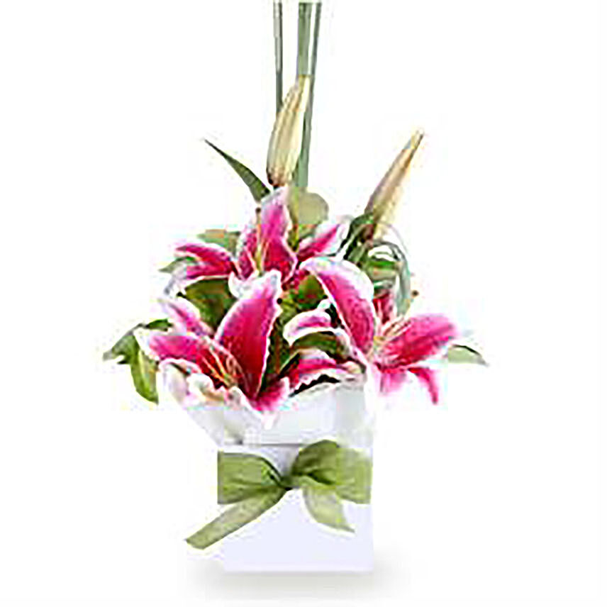 Pink Oriental Lilies Box Arrangement