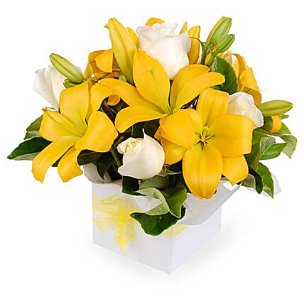 Bright Neutral Coloured Flower Box: 