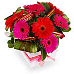 Box Arrangement of Gerberas & Choco Bars Combo