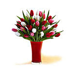 30 Red White Pink Tulips In A Glass