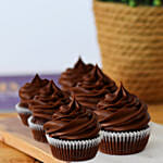 Delectable Chocolate Cupcakes 6 Pcs