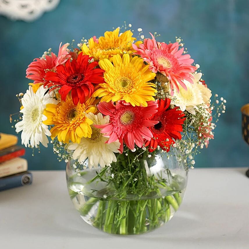 Classy Mixs Of Gerbera Blossoms