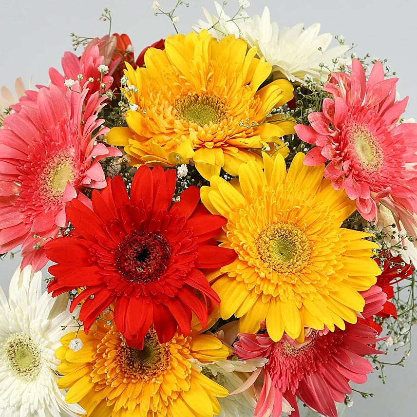 Classy Mixs Of Gerbera Blossoms