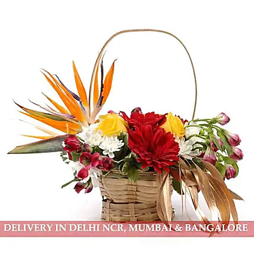 Colourful Basket of Flowers