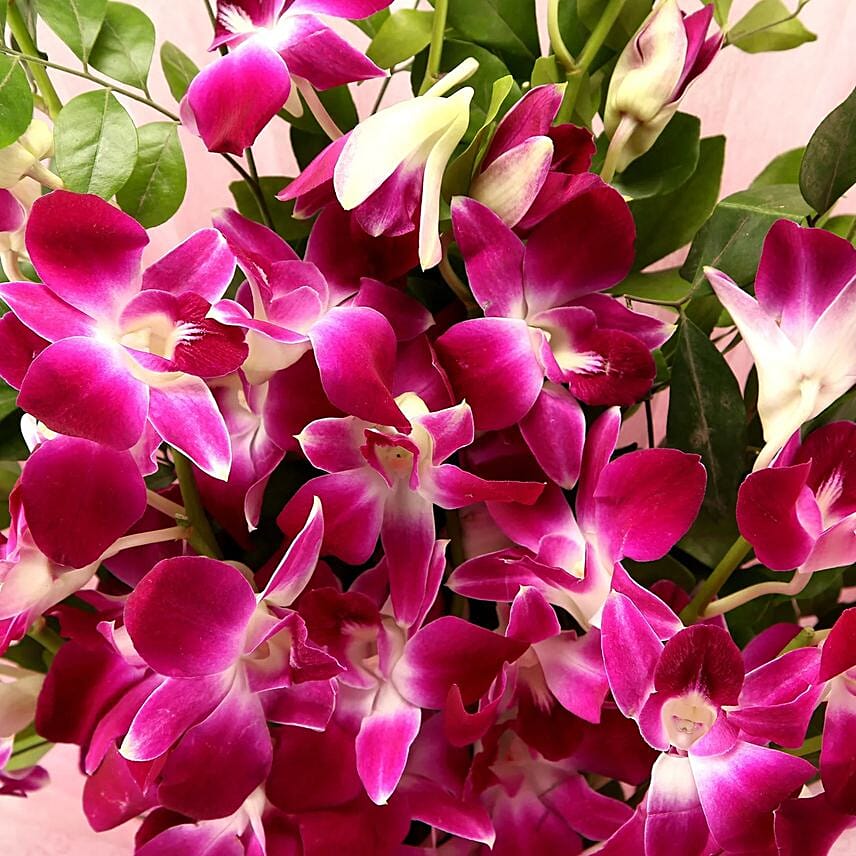 Enchanting Orchids Bouquet