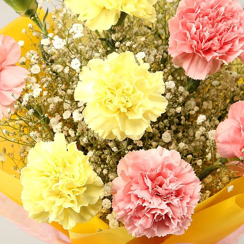 باقة 12 زهرة قرنفل ملونة