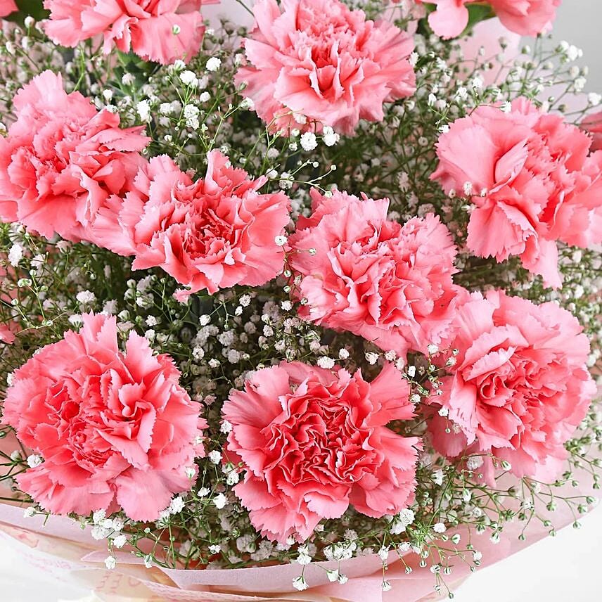 Magical Dust Carnations N Truffle Cake Combo
