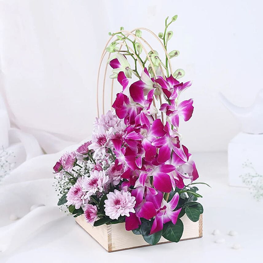 Royal Orchid & Daisy Embrace