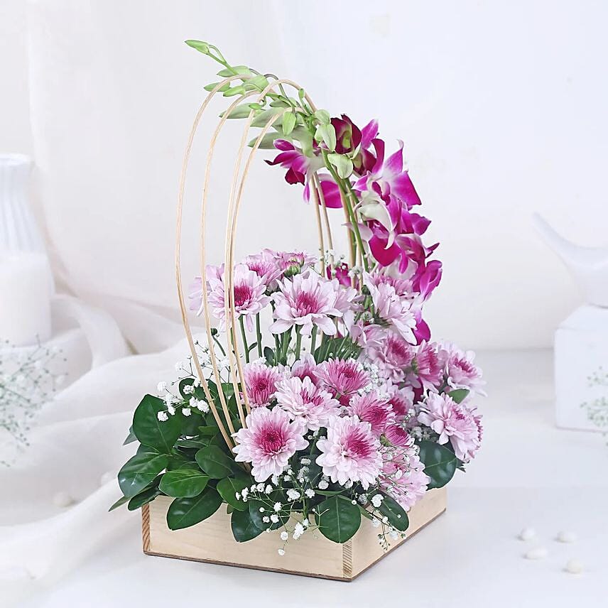 Royal Orchid & Daisy Embrace