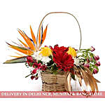Colourful Basket of Flowers