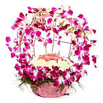 Vibrant Orchid Celebration