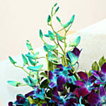 Gleaming Love Orchids Bouquet