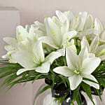 Pure 10 White Asiatic Lilies In Fishbowl Vase