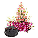 Colour N Cake