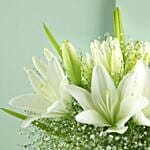 Blooming Asiatic Lilies In Black Ribbon Tied Vase