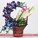 Basket of Purple Orchids and Anthuriums