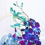 Blue Orchid Oasis Delight
