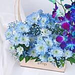 Blue Orchid Oasis Delight