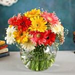 Classy Mix Of Gerbera Blossoms