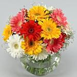 Classy Mixs Of Gerbera Blossoms