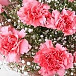 Magical Dust Carnations N Truffle Cake Combo