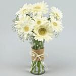Serene White Gerbera Vase