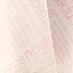 Sweet Shy Roses Bouquet