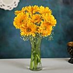 Yellow Mystique Gerbera Vase
