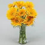 Yellow Mystique Gerbera Vase