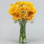 Yellow Mystique Gerbera Vase