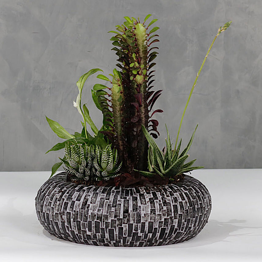Succulent Garden Acrylic Vase