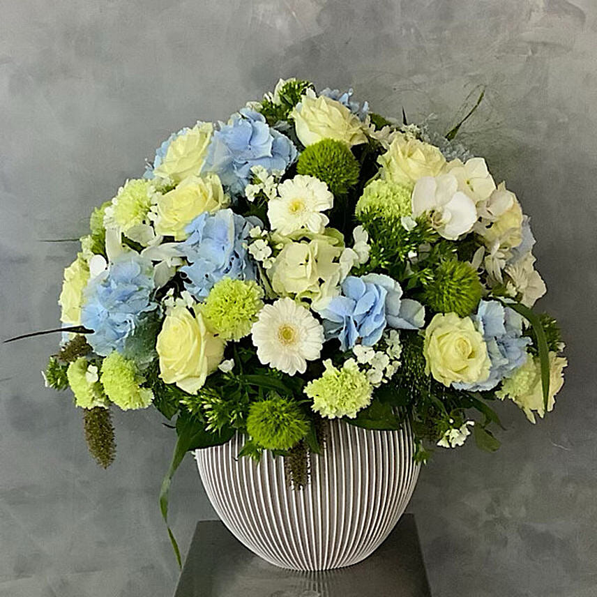 Baby Bleu Arrangement Classic