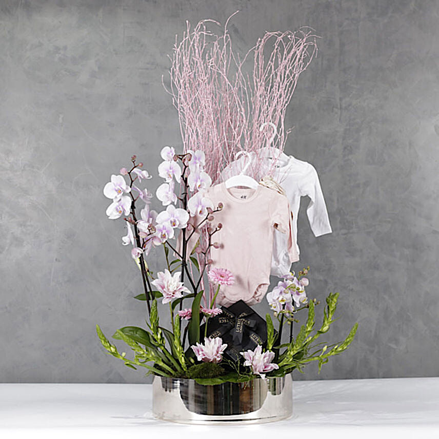 هدية مولود جديد بنت مميزة مرتبة مع ورود فاخرة هدية مولود جديد بنت مميزة مرتبة مع ورود فاخرة: