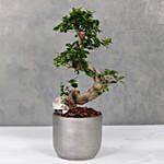 Bonsai Silver Planter