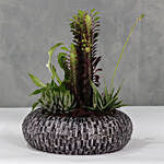 Succulent Garden Acrylic Vase