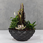 Succulent Garden Bowl