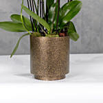 12 Flowerstcks In Terrazzo Gold Cylinder Vase